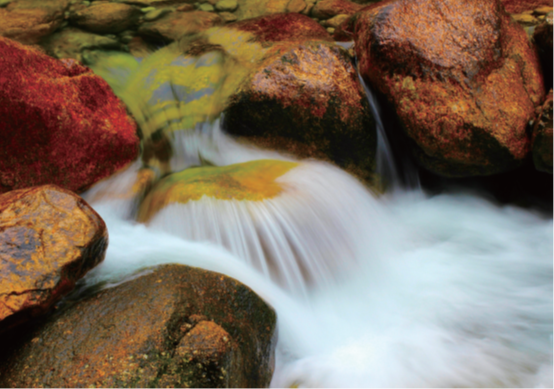 亚游集团·ag8(中国游)官方网站