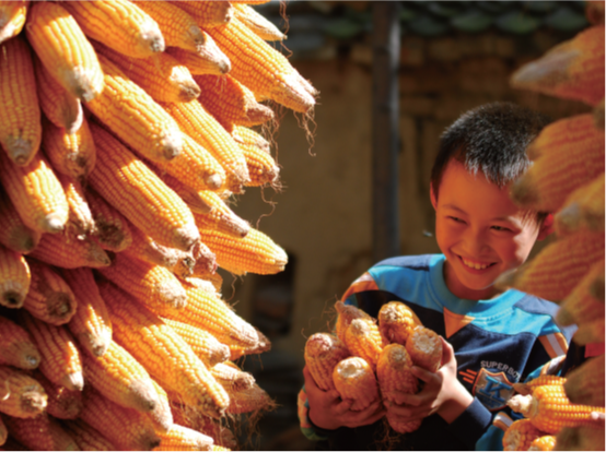 亚游集团·ag8(中国游)官方网站